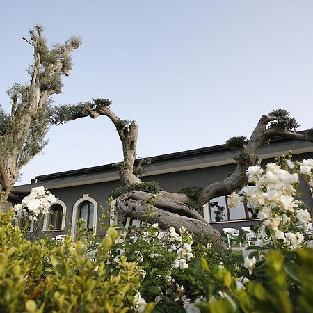 Terra Di Venera Villa ซานตา เวเนรินา ภายนอก รูปภาพ