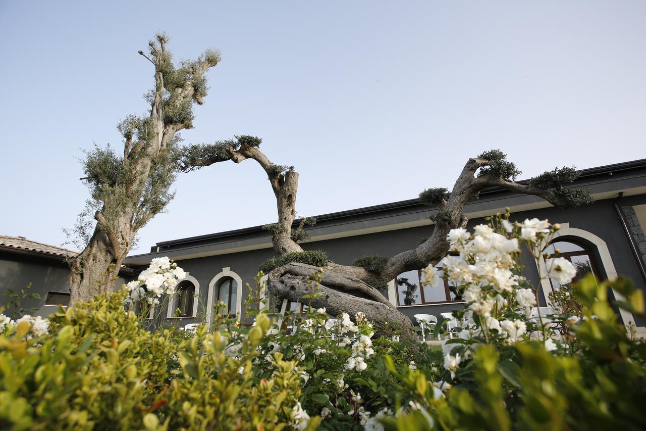 Terra Di Venera Villa ซานตา เวเนรินา ภายนอก รูปภาพ